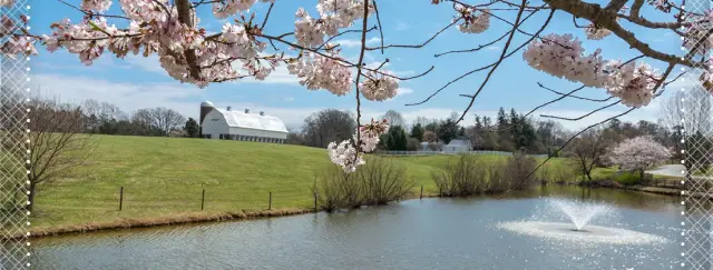 Friends Homes — Assisted Living — Greensboro, NC photo