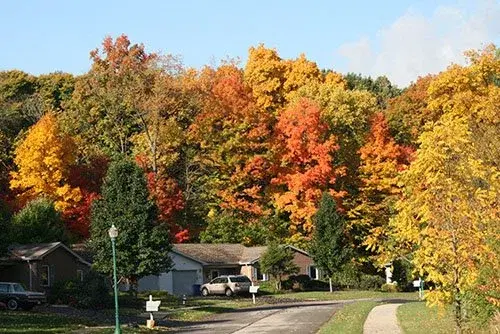 Willow Brook Christian Village — Assisted Living — Delaware, OH photo