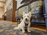 Angelhaus — Assisted Living — Yankton, SD photo