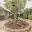 Rosewood Retirement and Assisted Living By Voralto — Assisted Living — Lafayette, LA photo