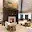 Sunterra Springs Independence — Assisted Living — Independence, MO photo